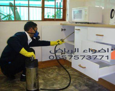 شركة مكافحة حشرات بجازان