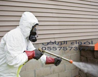 شركة مكافحة النمل الابيض بجازان