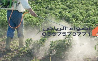 شركة رش مبيدات بجازان