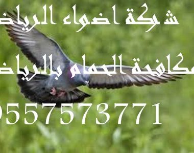 شركة مكافحة حمام بالرياض