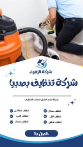 شركة تنظيف بصبيا 