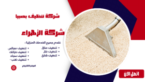 شركة تنظيف بصبيا