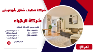 شركة تنظيف شقق بأبوعريش
