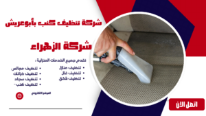 شركة تنظيف كنب بأبوعريش